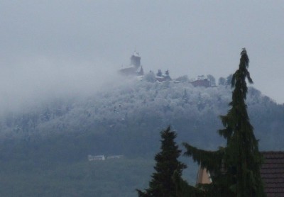 haut koen sous neige.jpg