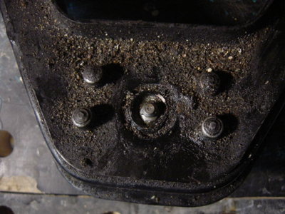 DSC05009.JPG