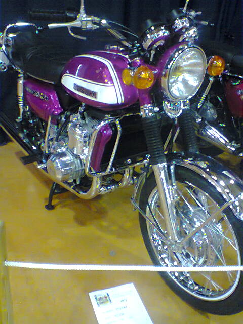 Salon Colomiers 20   02   2014 037.jpg