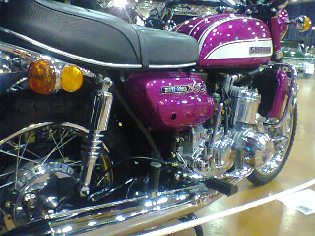 Salon Colomiers 20   02   2014 044.jpg