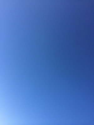 ImageUploadedByTapatalk1394381453.810257.jpg