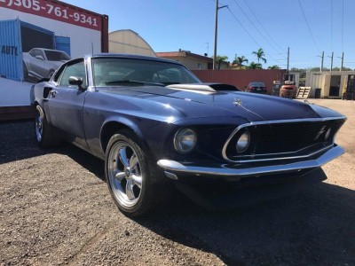 mustang_04.jpg