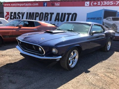 mustang_05.jpg