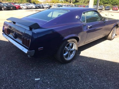 mustang_06.jpg