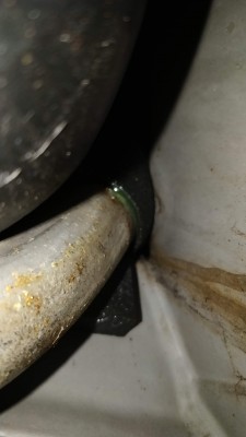 IMG_20180624_175524.jpg